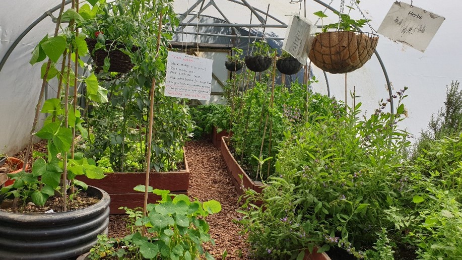 Fork to Fork Picture1